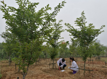 6731¶¥¼¶ÓéÀÖ¹Ù·½ÍøÕ¾-¶¥¼¶»¥¶¯ÓéÀÖ·þÎñÆ·ÅÆ