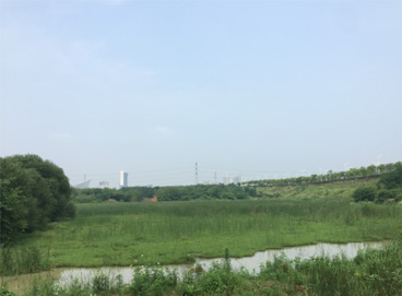 6731¶¥¼¶ÓéÀÖ¹Ù·½ÍøÕ¾-¶¥¼¶»¥¶¯ÓéÀÖ·þÎñÆ·ÅÆ