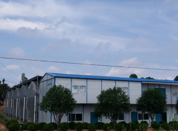 6731¶¥¼¶ÓéÀÖ¹Ù·½ÍøÕ¾-¶¥¼¶»¥¶¯ÓéÀÖ·þÎñÆ·ÅÆ