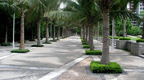 6731�������ֹٷ���վ-�����������ַ���Ʒ��