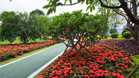 6731�������ֹٷ���վ-�����������ַ���Ʒ��