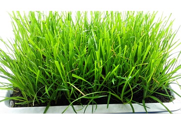 6731¶¥¼¶ÓéÀÖ¹Ù·½ÍøÕ¾-¶¥¼¶»¥¶¯ÓéÀÖ·þÎñÆ·ÅÆ