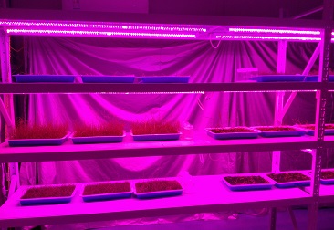 6731¶¥¼¶ÓéÀÖ¹Ù·½ÍøÕ¾-¶¥¼¶»¥¶¯ÓéÀÖ·þÎñÆ·ÅÆ