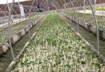 6731¶¥¼¶ÓéÀÖ¹Ù·½ÍøÕ¾-¶¥¼¶»¥¶¯ÓéÀÖ·þÎñÆ·ÅÆ