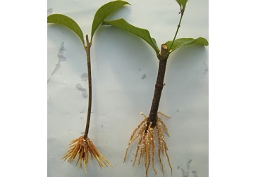 6731¶¥¼¶ÓéÀÖ¹Ù·½ÍøÕ¾-¶¥¼¶»¥¶¯ÓéÀÖ·þÎñÆ·ÅÆ