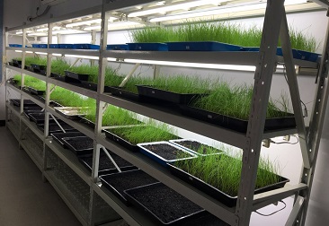 6731¶¥¼¶ÓéÀÖ¹Ù·½ÍøÕ¾-¶¥¼¶»¥¶¯ÓéÀÖ·þÎñÆ·ÅÆ