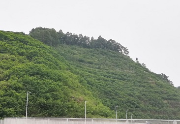 6731¶¥¼¶ÓéÀÖ¹Ù·½ÍøÕ¾-¶¥¼¶»¥¶¯ÓéÀÖ·þÎñÆ·ÅÆ