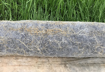 6731¶¥¼¶ÓéÀÖ¹Ù·½ÍøÕ¾-¶¥¼¶»¥¶¯ÓéÀÖ·þÎñÆ·ÅÆ